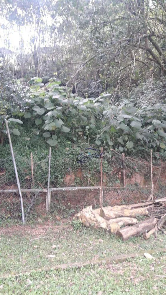 Terreno, 4500 m² - Foto 7