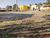 Terreno, 2510 m² - Foto 10