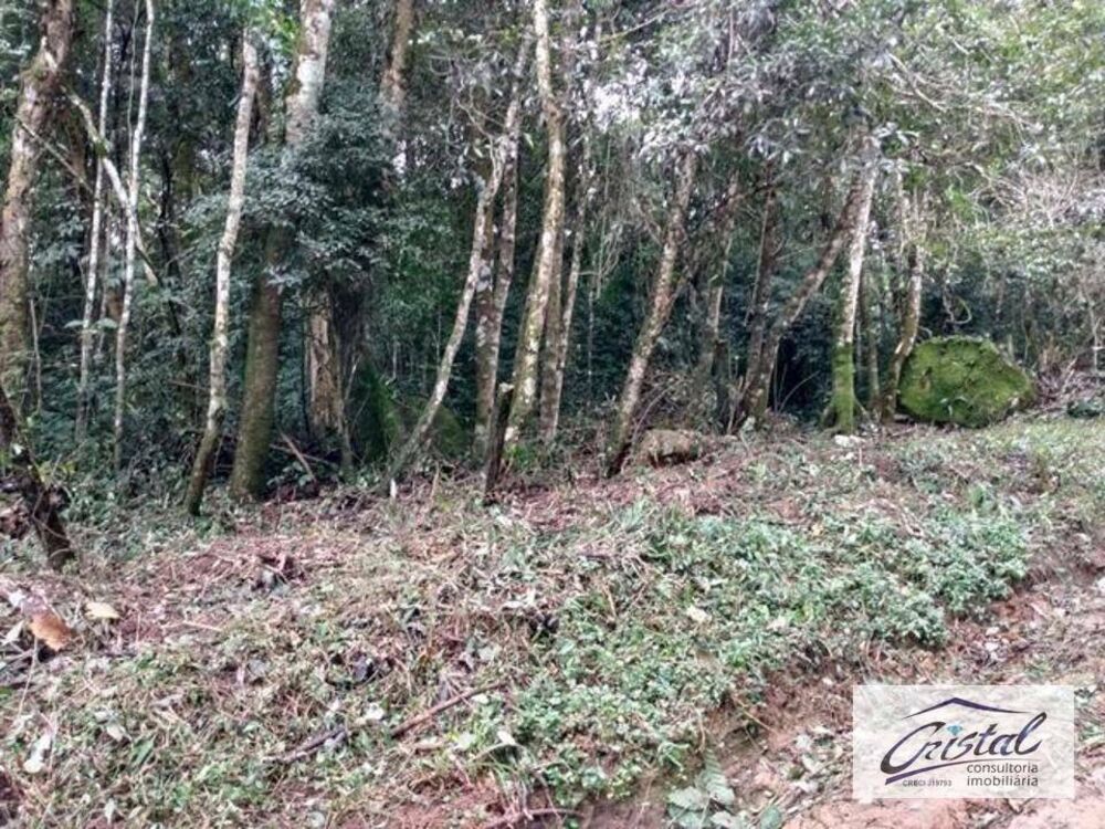 Terreno, 1518 m² - Foto 4