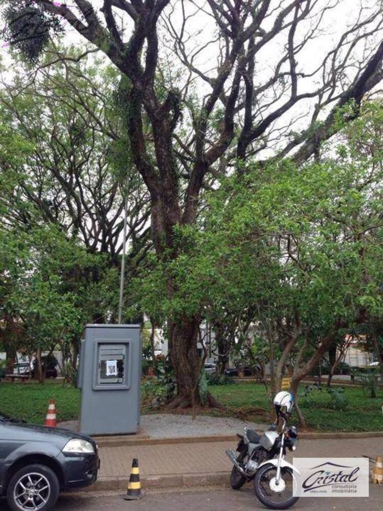 Casa, 5 quartos, 350 m² - Foto 2