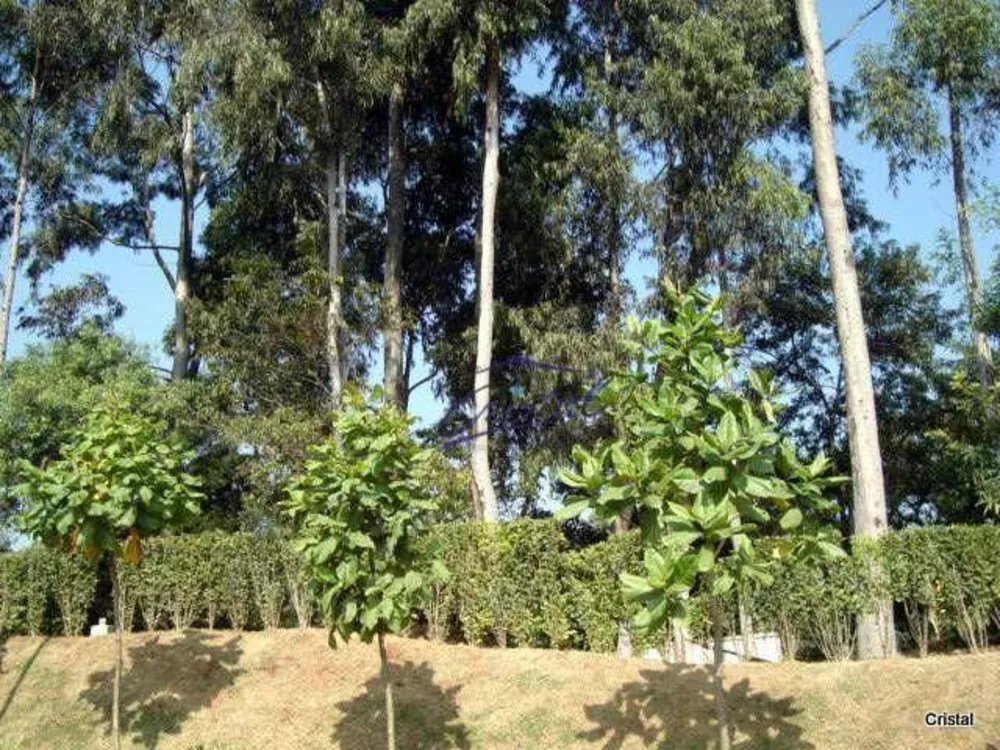 Casa de Condomínio, 3 quartos - Foto 15