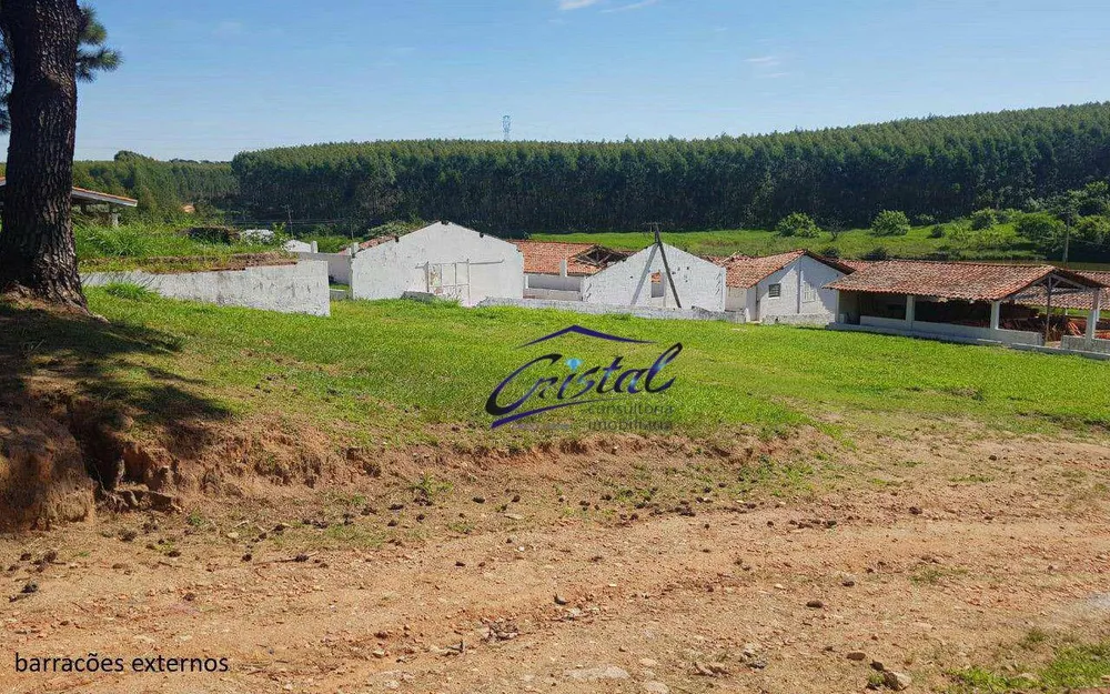 Sítio, 7 quartos, 2 hectares - Foto 3