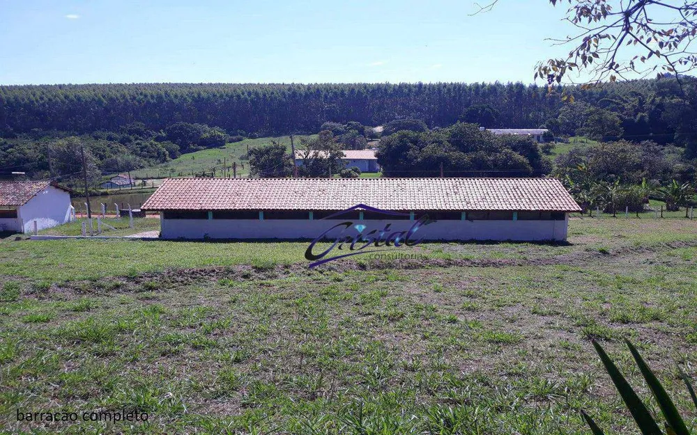 Sítio, 7 quartos, 2 hectares - Foto 1