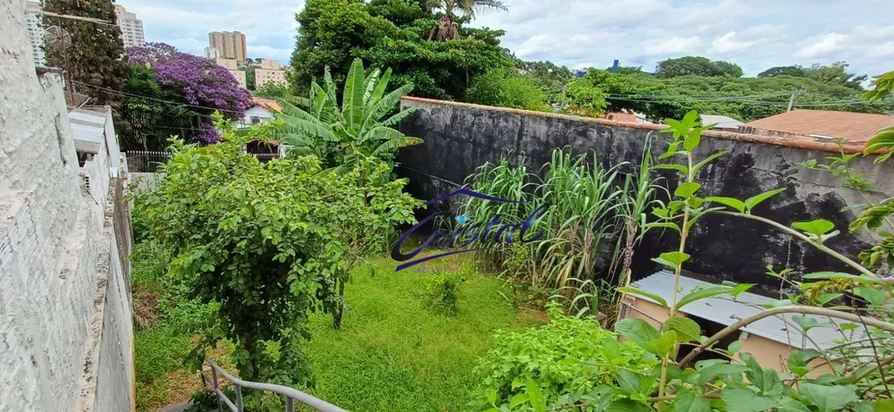 Terreno, 250 m² - Foto 1