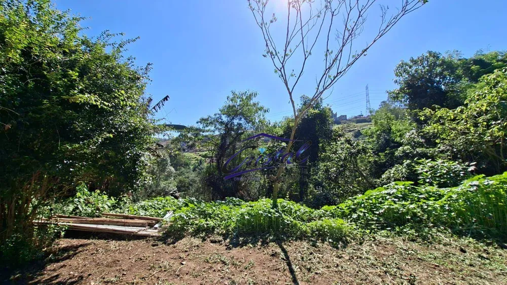 Loteamento e Condomínio, 1500 m² - Foto 4