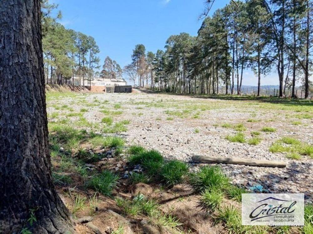 Terreno, 2 hectares - Foto 3