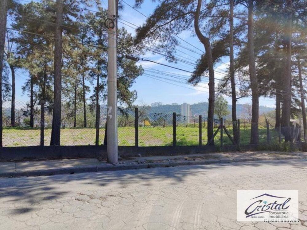 Terreno, 2 hectares - Foto 4