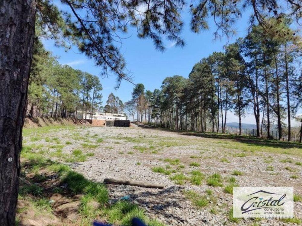 Terreno, 2 hectares - Foto 2