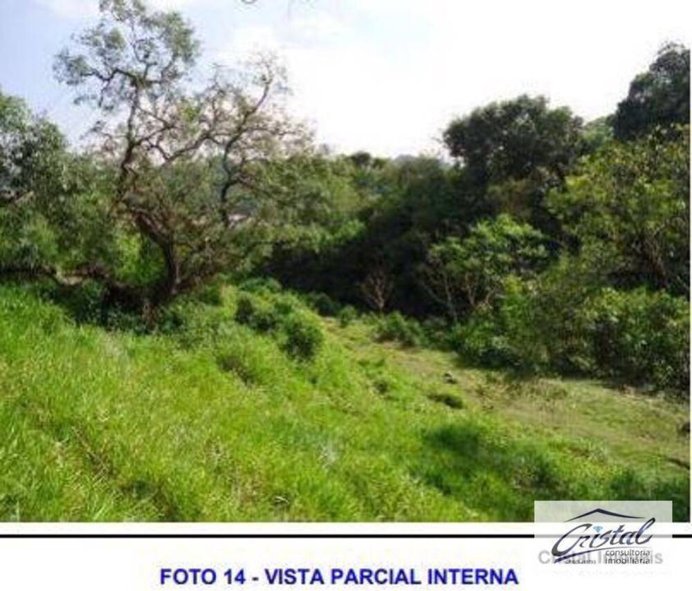 Terreno, 6 hectares - Foto 13