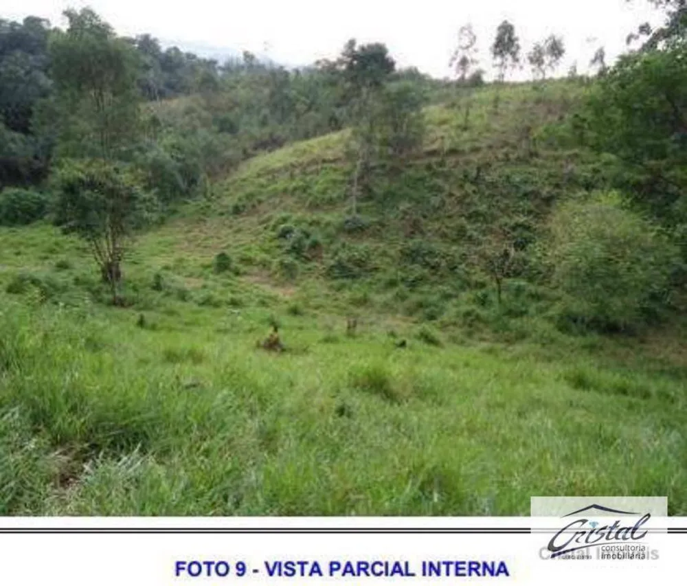 Terreno, 6 hectares - Foto 10