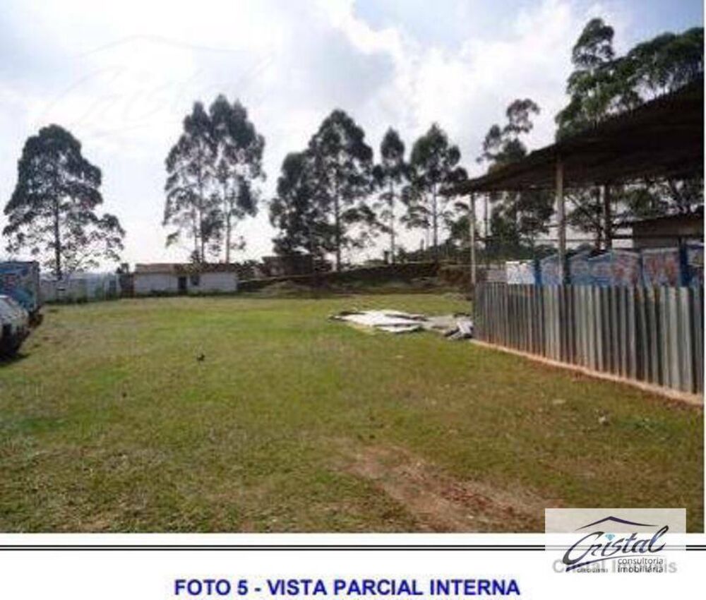 Terreno, 6 hectares - Foto 6