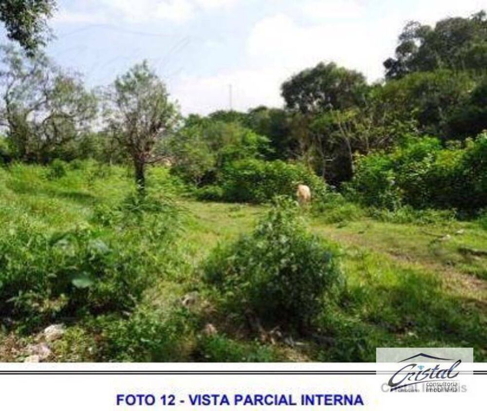 Terreno, 6 hectares - Foto 11