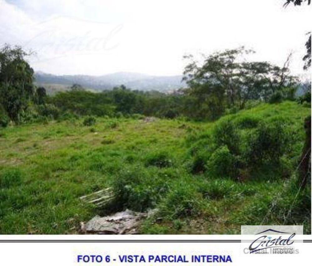 Terreno, 6 hectares - Foto 7