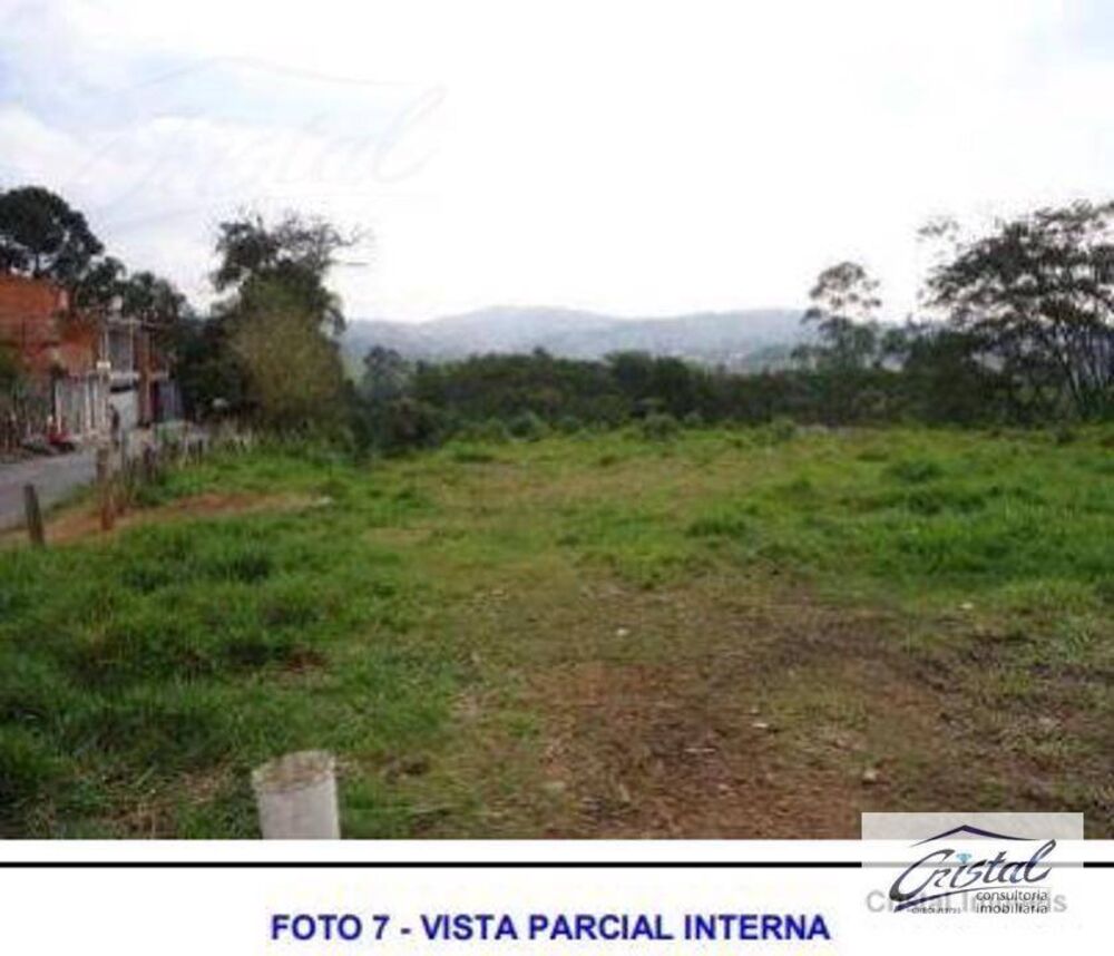 Terreno, 6 hectares - Foto 8