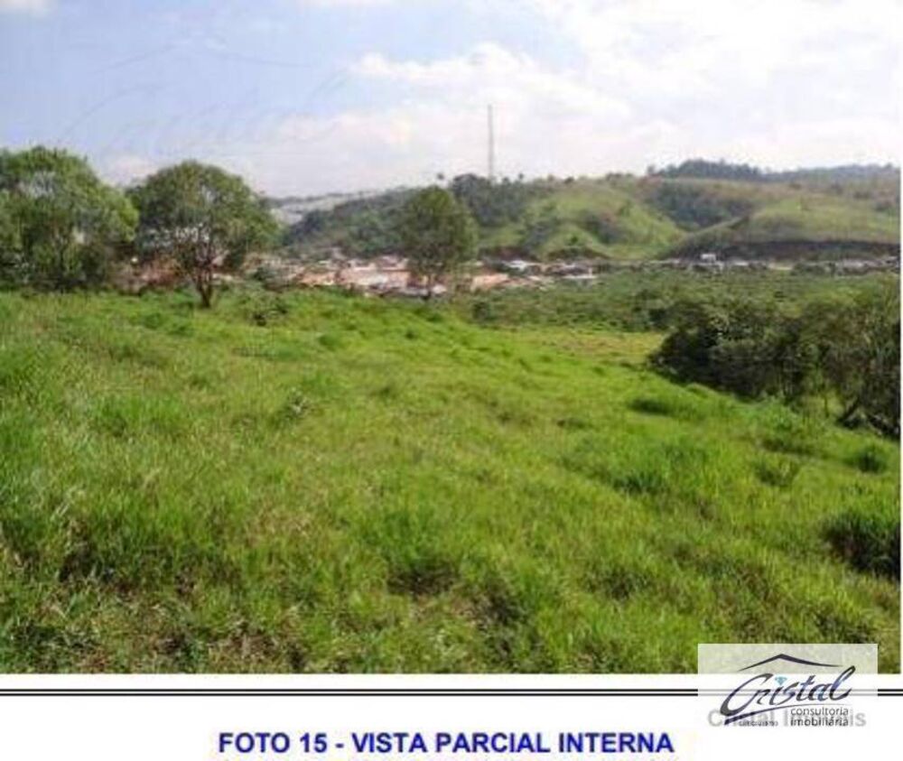 Terreno, 6 hectares - Foto 14
