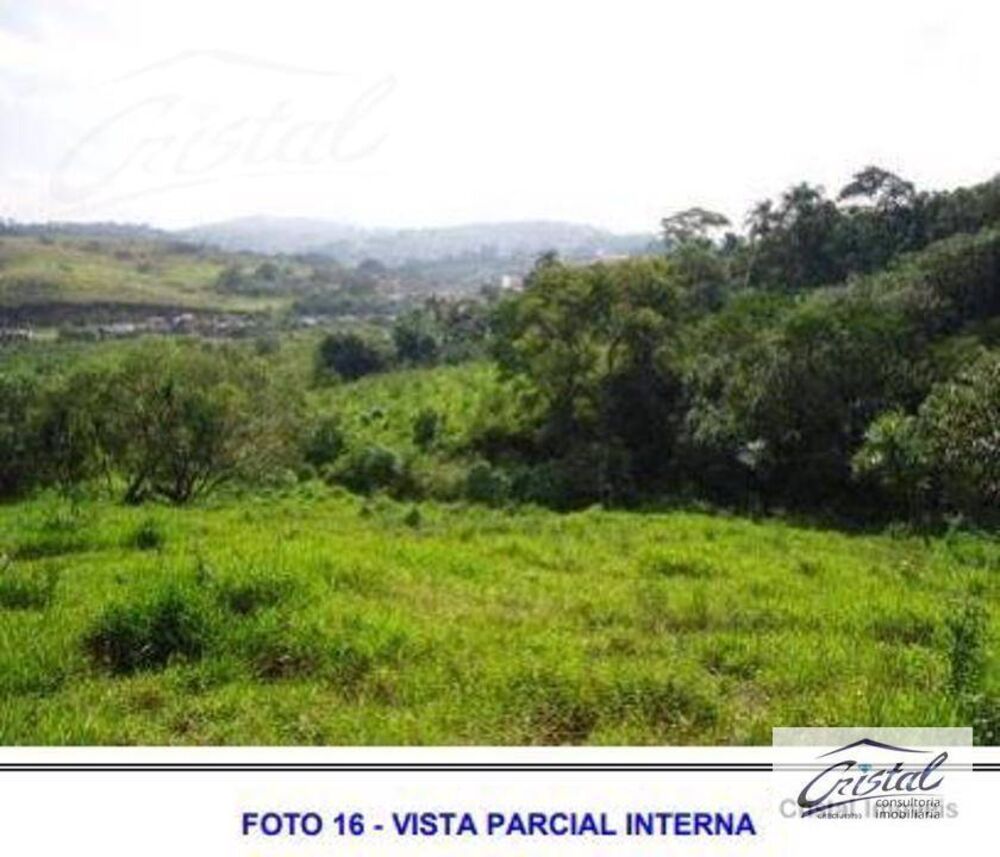 Terreno, 6 hectares - Foto 15