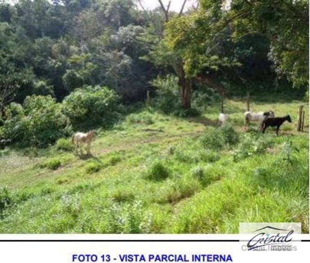 Terreno, 6 hectares - Foto 12