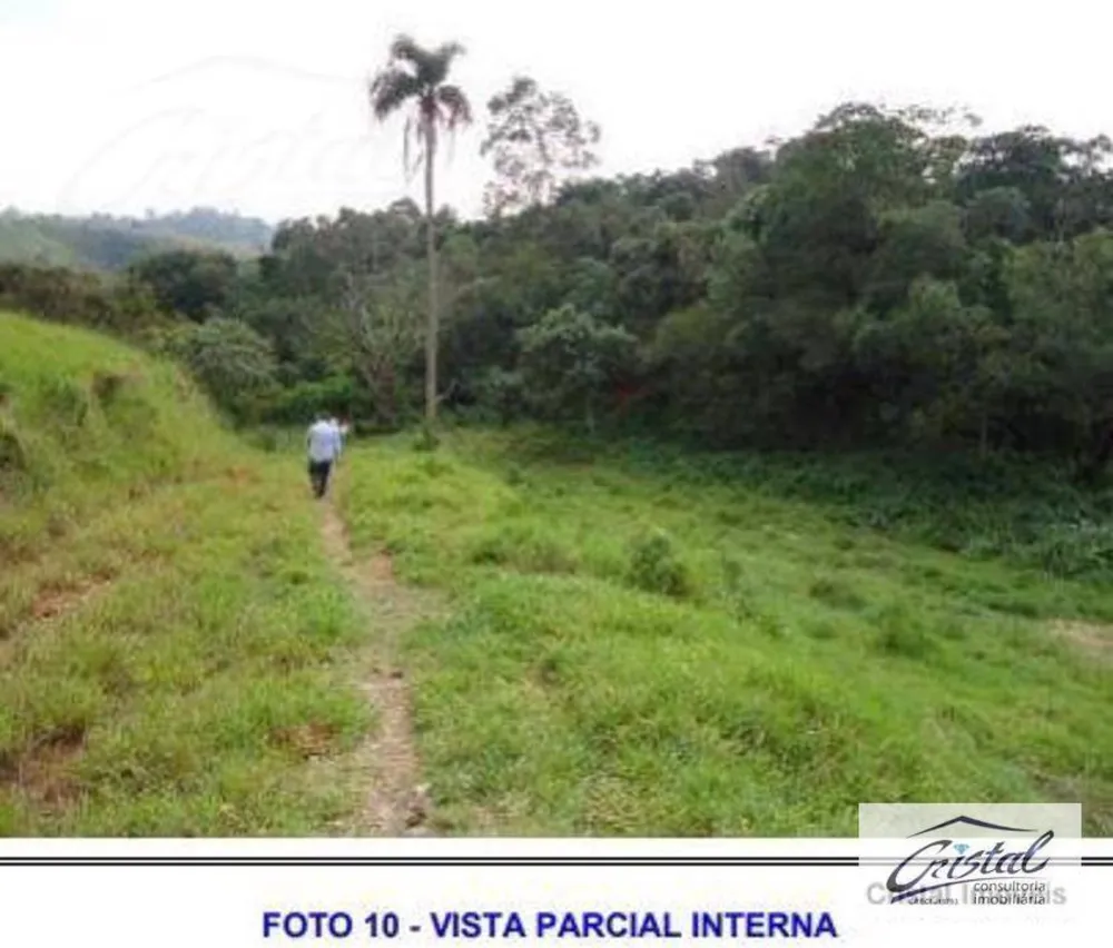 Terreno, 6 hectares - Foto 11
