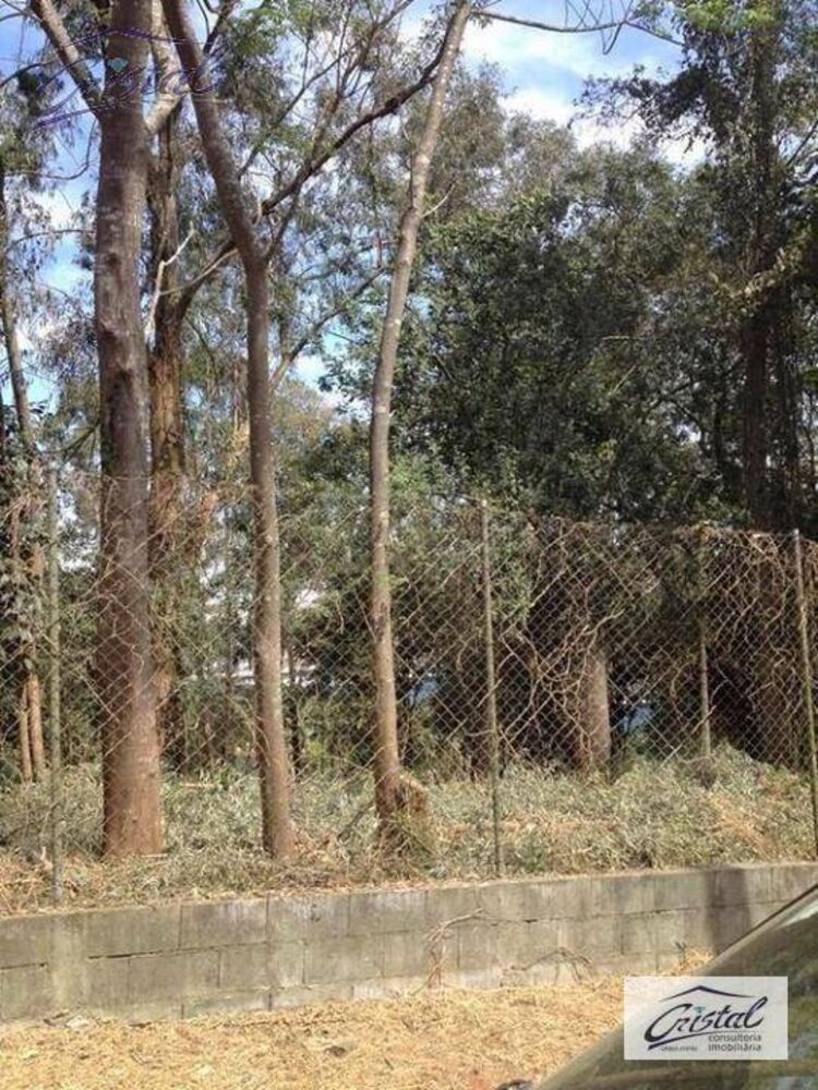 Terreno, 2000 m² - Foto 2