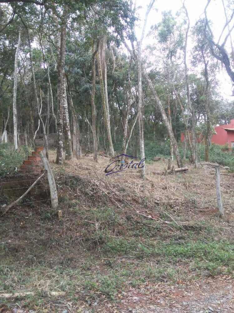 Terreno à venda, 1600M2 - Foto 4