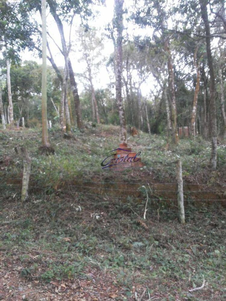Terreno à venda, 1600M2 - Foto 3