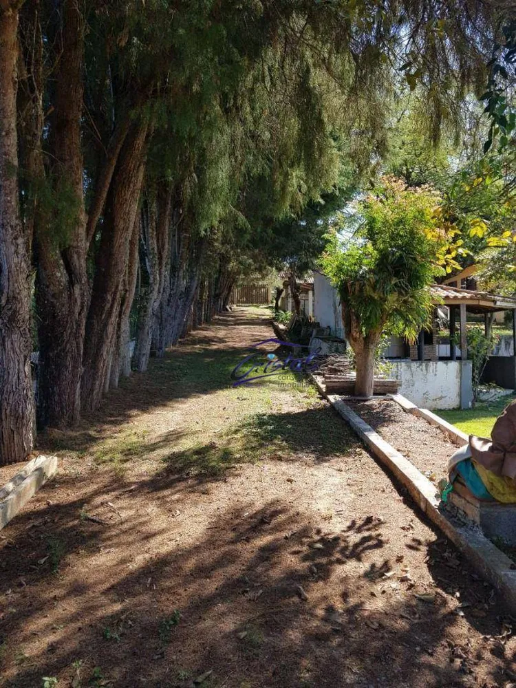 Chácara, 3 quartos, 2800 m² - Foto 8