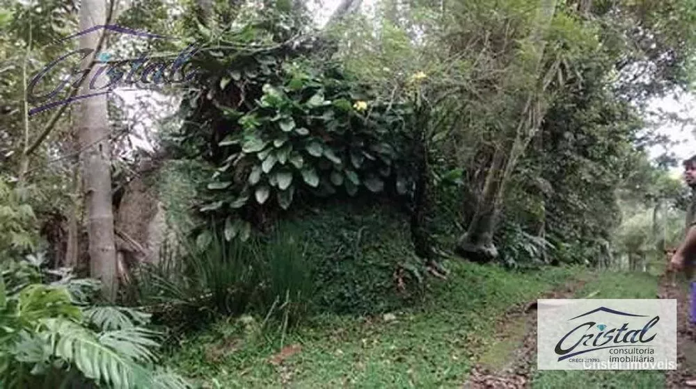Chácara, 5 quartos, 3 hectares - Foto 13
