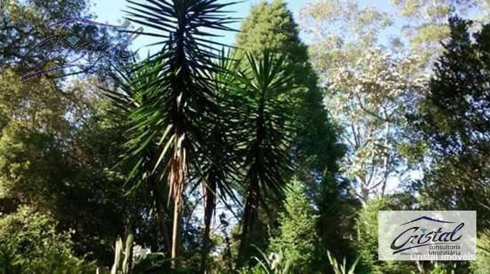 Chácara, 5 quartos, 3 hectares - Foto 25