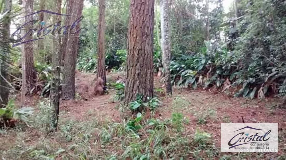 Chácara, 5 quartos, 3 hectares - Foto 14