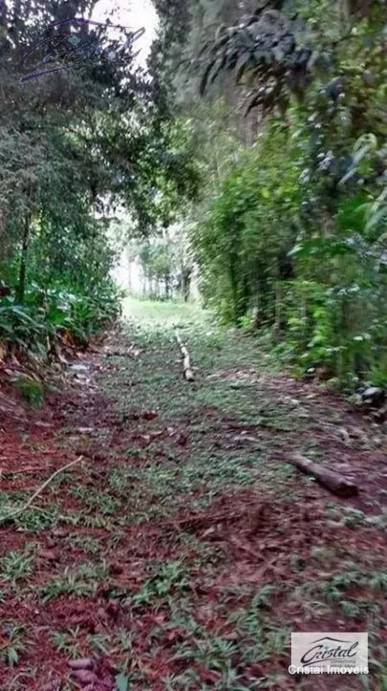 Chácara, 5 quartos, 3 hectares - Foto 19