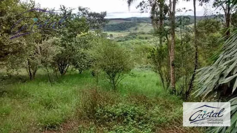 Chácara, 5 quartos, 3 hectares - Foto 22