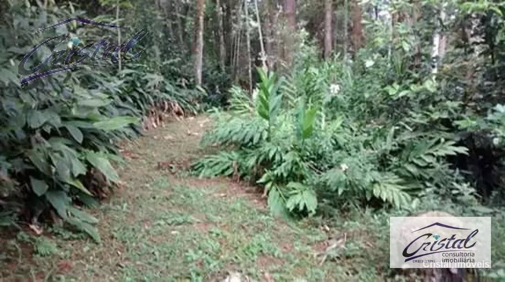 Chácara, 5 quartos, 3 hectares - Foto 17