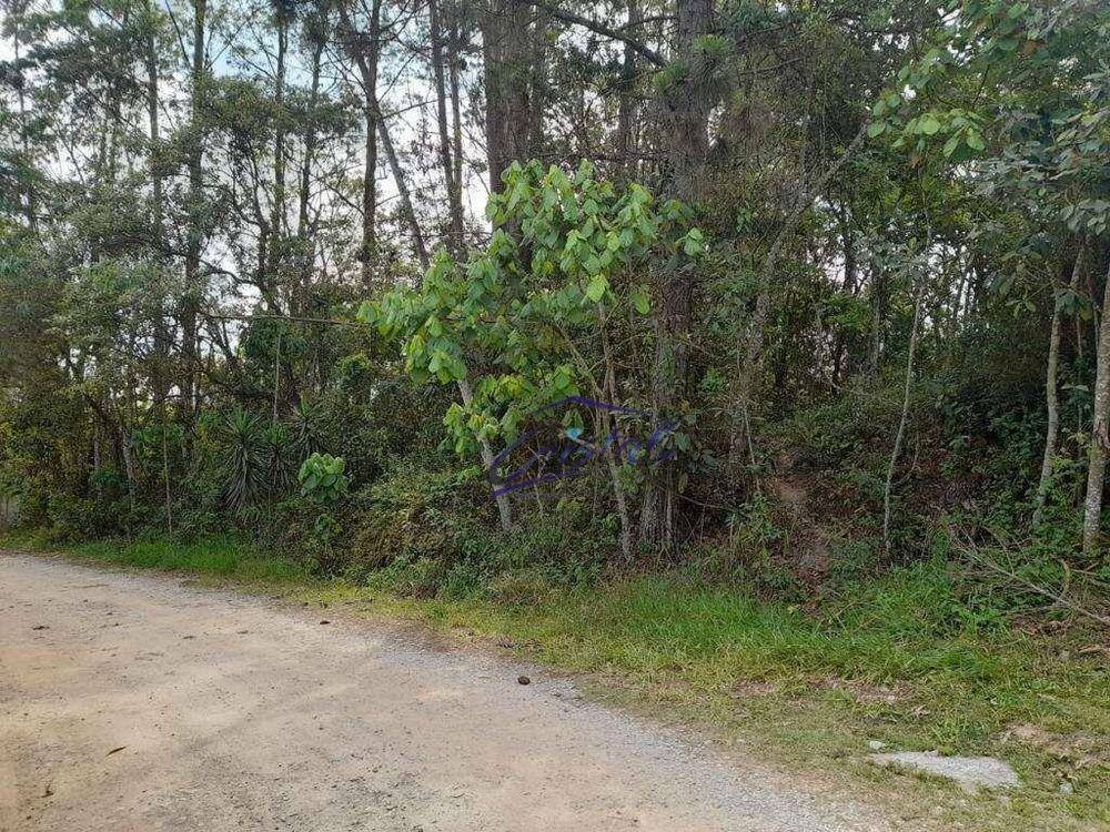 Terreno, 1550 m² - Foto 7