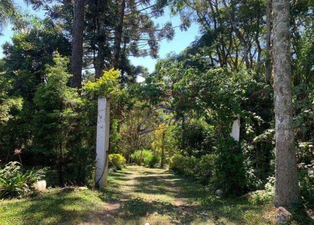 Sítio, 3 quartos, 3 hectares - Foto 4