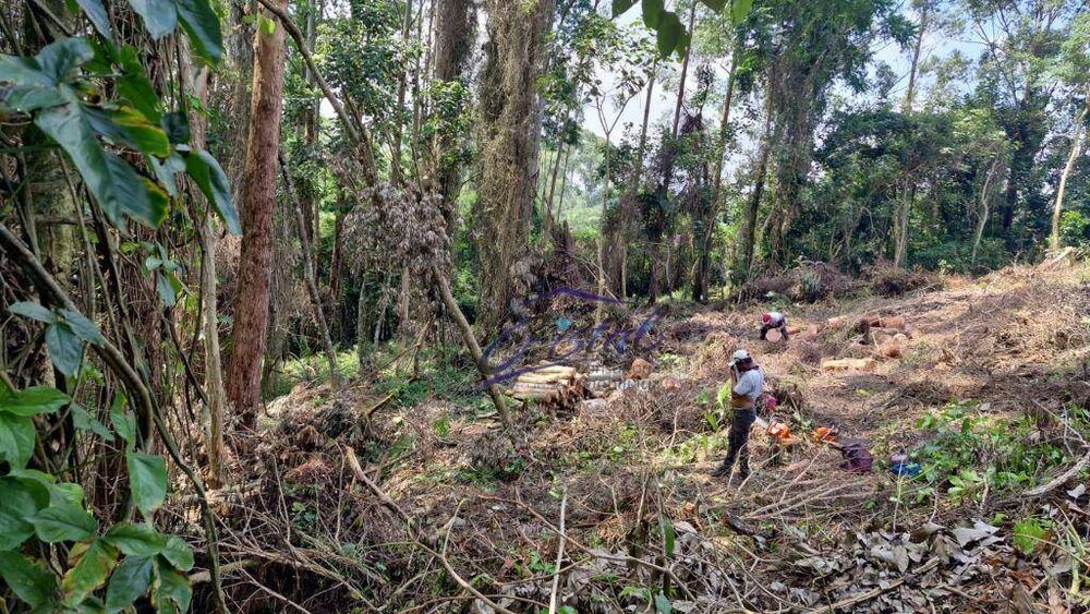 Loteamento e Condomínio, 1405 m² - Foto 6