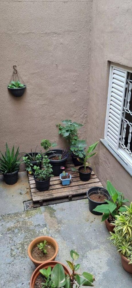 Casa, 4 quartos, 146 m² - Foto 3