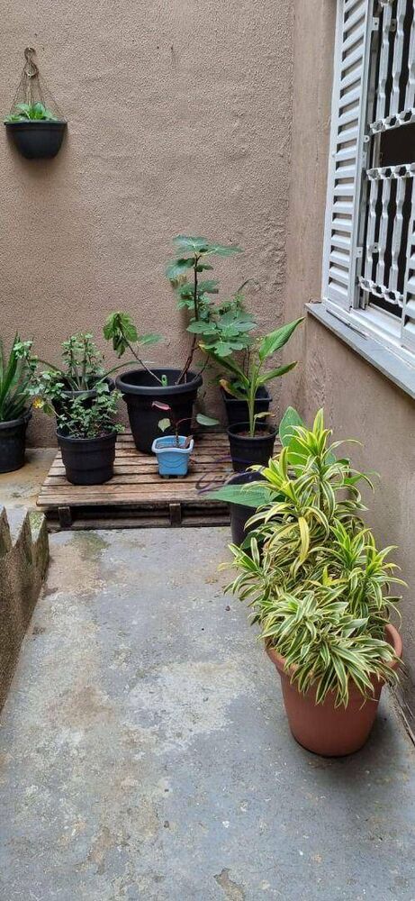 Casa, 4 quartos, 146 m² - Foto 6