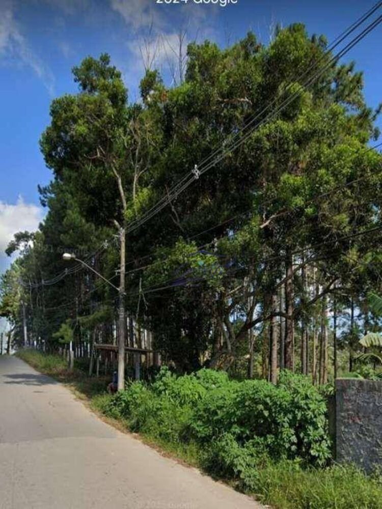 Terreno, 5 hectares - Foto 7