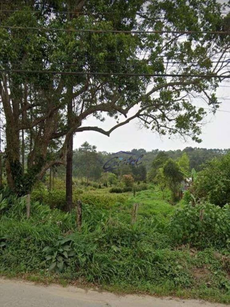 Terreno, 5 hectares - Foto 6