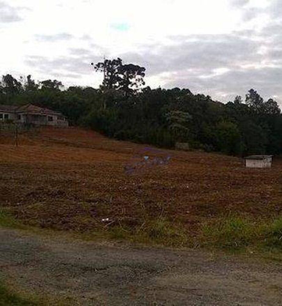 Terreno, 2 hectares - Foto 6