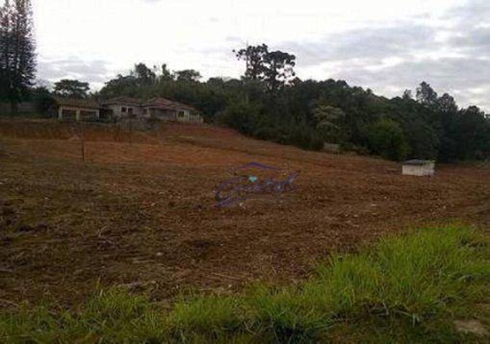 Terreno, 2 hectares - Foto 4