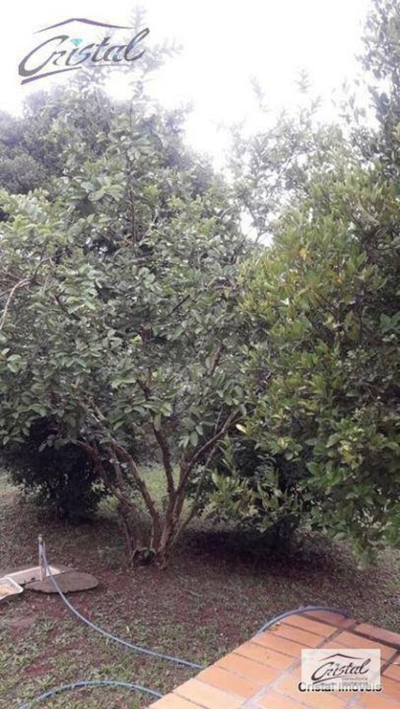 Terreno, 1 hectares - Foto 4