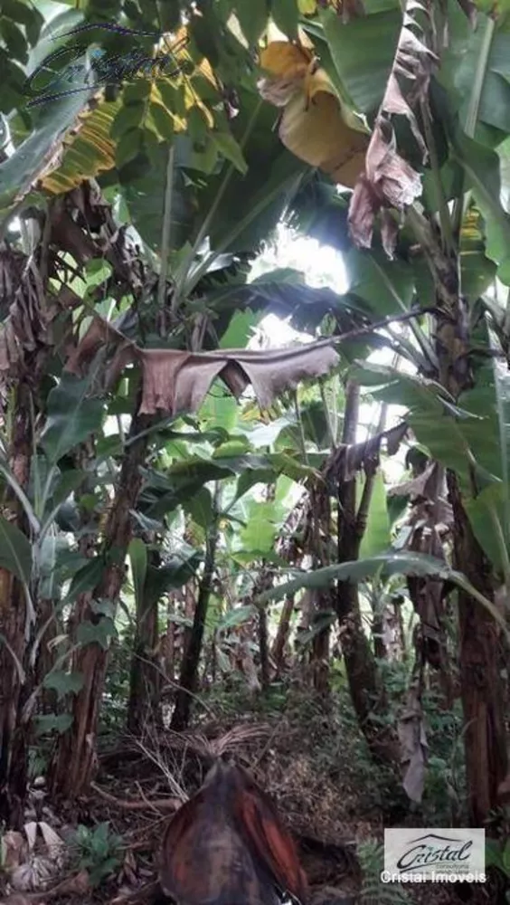 Terreno, 1 hectares - Foto 9