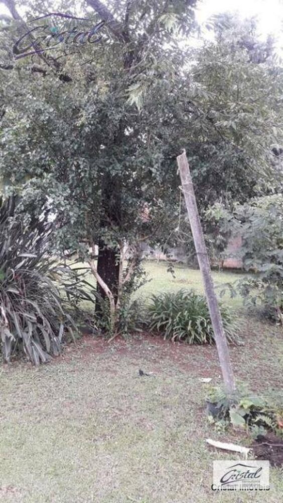 Terreno, 1 hectares - Foto 12