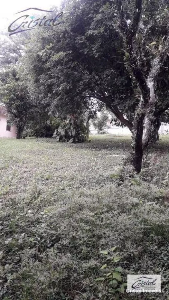 Terreno, 1 hectares - Foto 13