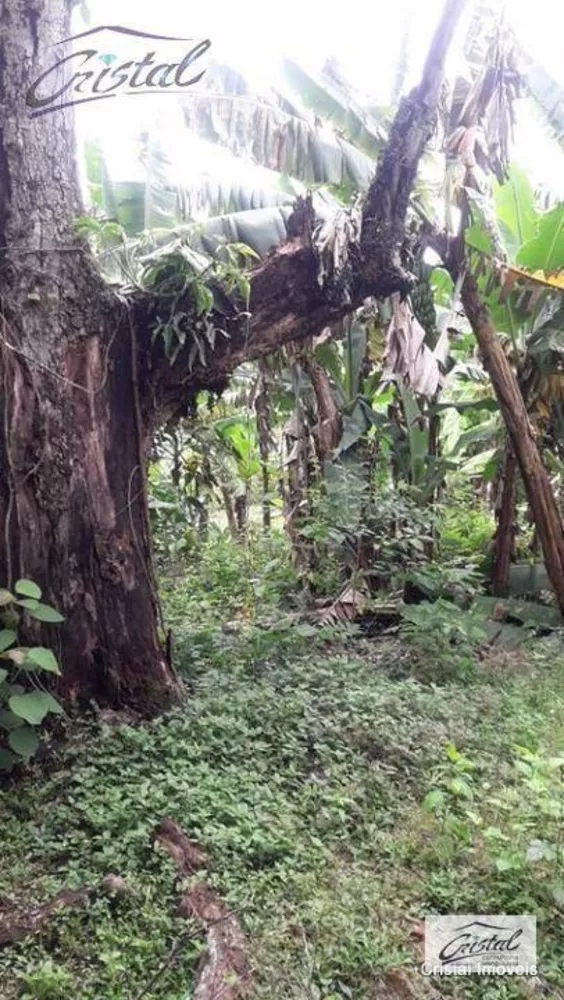 Terreno, 1 hectares - Foto 14