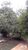 Terreno, 1 hectares - Foto 1