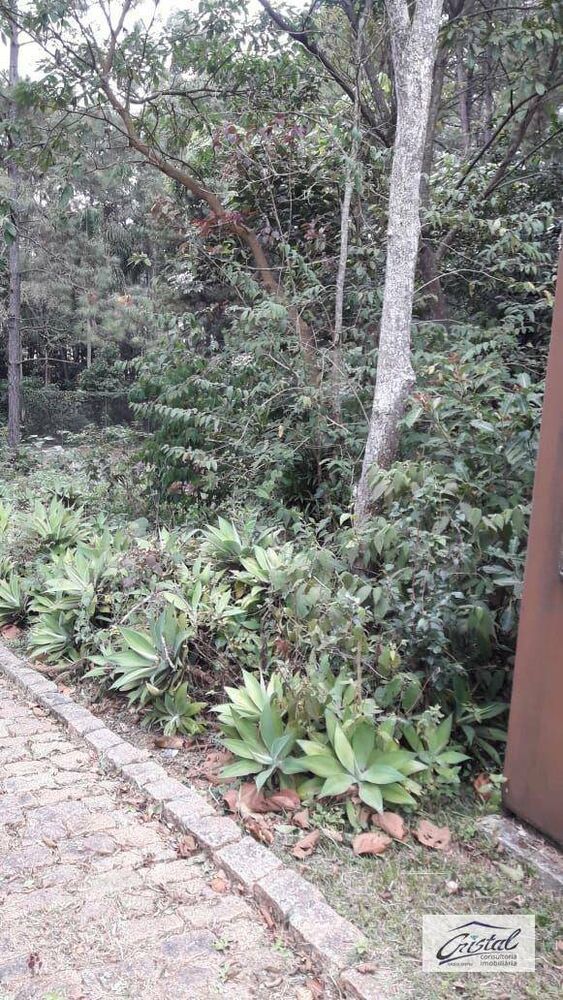 Terreno, 4 hectares - Foto 20