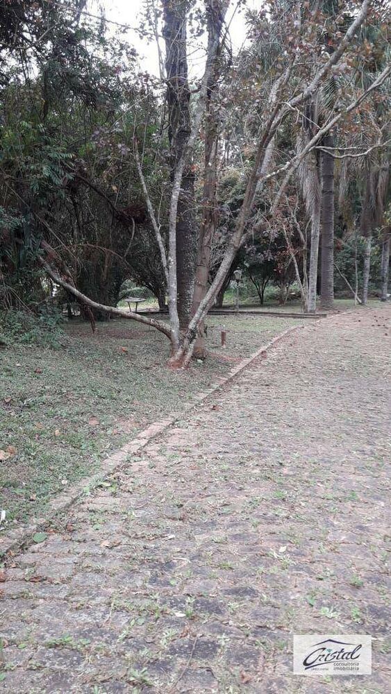Terreno, 4 hectares - Foto 14