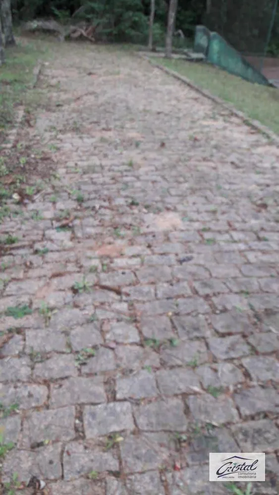 Terreno, 4 hectares - Foto 8